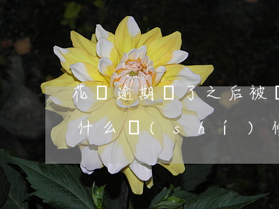 花唄逾期還了之后被鎖了(花唄額度被鎖過后什么時(shí)候能恢復(fù))