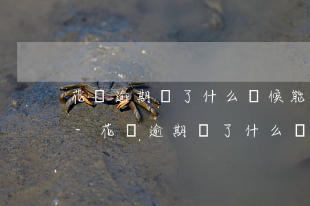 花唄逾期還了什么時候能恢復(fù)使用-花唄逾期還了什么時候能恢復(fù)使用額度