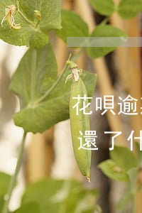 花唄逾期還了什么時候能漲額度-花唄逾期還了什么時候能漲額度啊