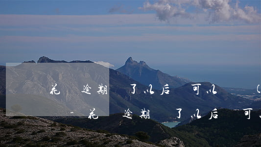 花唄逾期還了以后還可以繼續(xù)使用嗎-花唄逾期還了以后還可以繼續(xù)使用嗎