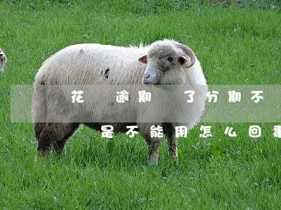花唄逾期還了分期不還(花唄逾期后分期付款還是不能用怎么回事)