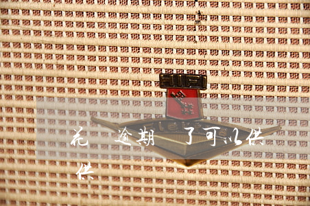 花唄逾期還了可以供車嗎(花唄逾期還了可以供車嗎)