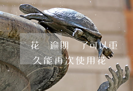 花唄逾期還了可以重開嗎(花唄逾期還清了多久能再次使用花唄)