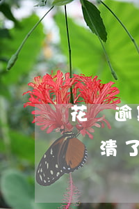 花唄逾期還了后還能用不(為什么花唄逾期后還清了還是不能使用)