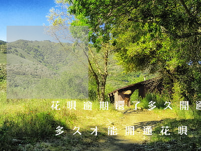 花唄逾期還了多久開通(花唄逾期三年還清了多久才能開通花唄)