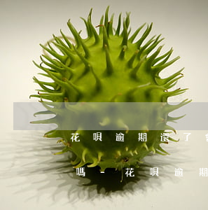 花唄逾期還了會(huì)催收剩余分期的嗎-花唄逾期還了會(huì)催收剩余分期的嗎怎么辦