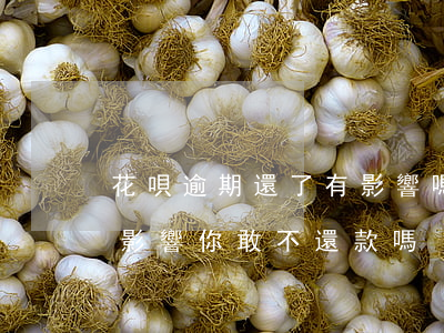 花唄逾期還了有影響嗎(花唄逾期還款有什么影響?你敢不還款嗎)
