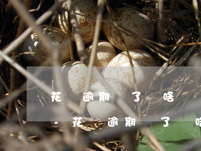 花唄逾期還了為啥還給發(fā)催繳短信-花唄逾期還了為啥還給發(fā)催繳短信呢