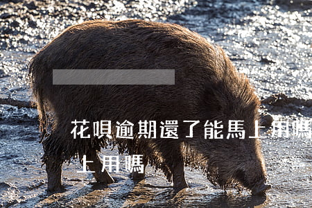 花唄逾期還了能馬上用嗎(花唄逾期還了能馬上用嗎)