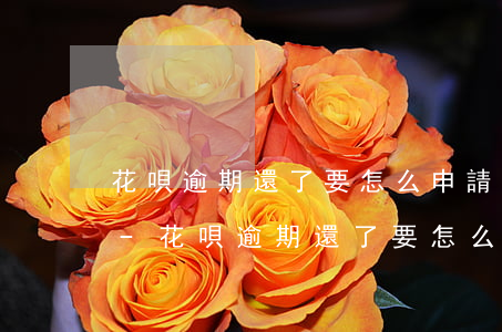 花唄逾期還了要怎么申請繼續(xù)使用-花唄逾期還了要怎么申請繼續(xù)使用呢
