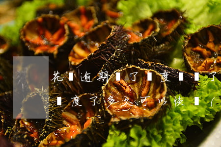 花唄逾期還了額度卻沒了(花唄逾期還完沒有額度了多久可以恢復(fù)額度)
