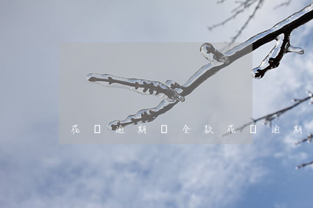 花唄逾期還全款(花唄逾期還全款)