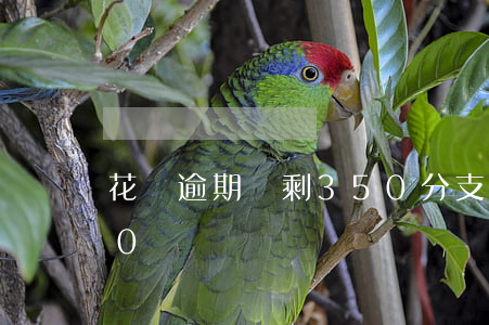 花唄逾期還剩350分(支付寶花唄逾期300塊)