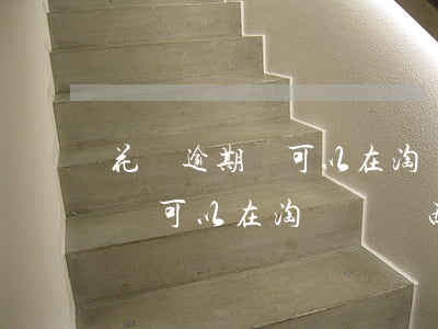 花唄逾期還可以在淘寶買東西嗎-花唄逾期還可以在淘寶買東西嗎不被扣款嘛