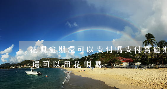 花唄逾期還可以支付嗎(支付寶逾期還了以后,還可以用花唄嗎)
