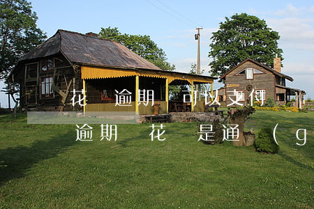 花唄逾期還可以支付寶當(dāng)面付 逾期還花唄是通過(guò)支付寶還嗎