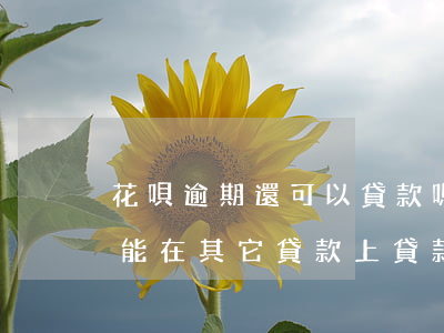 花唄逾期還可以貸款嗎(花唄逾期是不是就不能在其它貸款上貸款了)