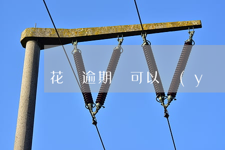 花唄逾期還可以養(yǎng)小雞嗎