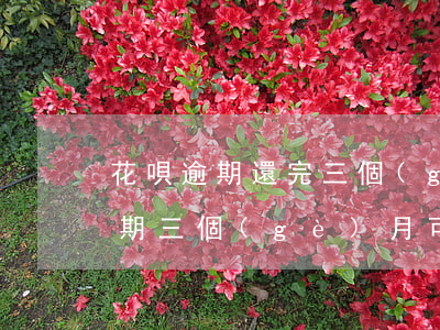 花唄逾期還完三個(gè)月了(花唄借唄逾期三個(gè)月可以先還逾期的部分嗎)