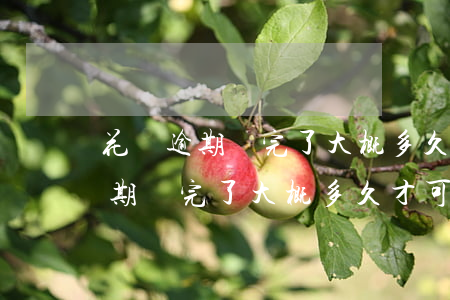 花唄逾期還完了大概多久才可以用-花唄逾期還完了大概多久才可以用啊