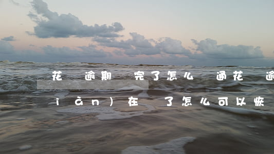花唄逾期還完了怎么開通(花唄逾期了現(xiàn)在還了怎么可以恢復(fù)使用)