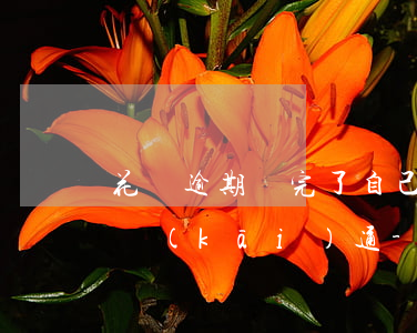 花唄逾期還完了自己關(guān)閉怎么開(kāi)通-花唄逾期還完了自己關(guān)閉怎么開(kāi)通額度