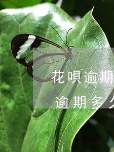 花唄逾期還完了還會(huì)起訴嗎(花唄逾期多久會(huì)被起訴?花唄逾期被起訴怎么辦)