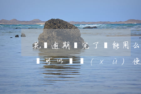 花唄逾期還完了還能用么(花唄逾期還了以后還可以繼續(xù)使用嗎)