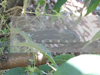 花唄逾期還完后律師函還要理會(huì)嗎-花唄逾期還完后律師函還要理會(huì)嗎怎么辦