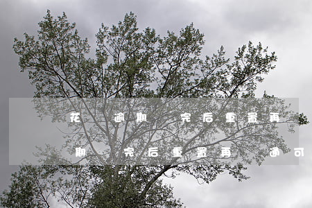 花唄逾期還完后重置再開通可以嗎-花唄逾期還完后重置再開通可以嗎安全嗎