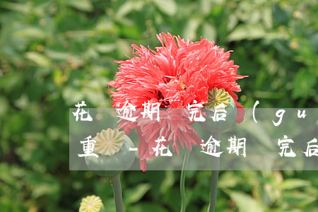 花唄逾期還完后關(guān)閉了多久能重開-花唄逾期還完后關(guān)閉了多久能重開啊