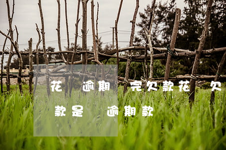 花唄逾期還完欠款(花唄欠款被起訴后馬上還款是還逾期款嗎)
