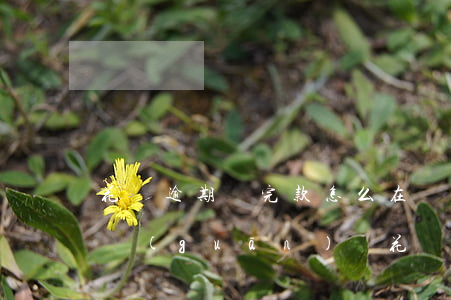 花唄逾期還完款怎么在開(花唄逾期了還完了關(guān)閉花唄,什么時(shí)候可以在開)