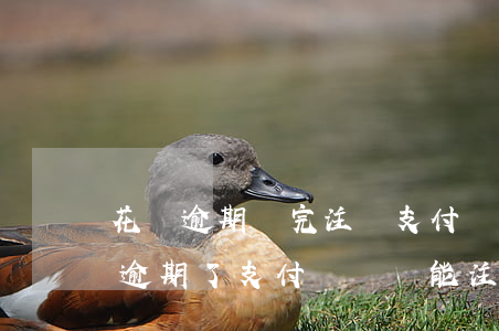 花唄逾期還完注銷支付寶在注冊能用不（花唄逾期了支付寶賬號能注銷嘛）