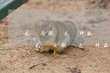 花唄逾期還完為什么還發(fā)應訴通知-花唄逾期還完為什么還發(fā)應訴通知呢