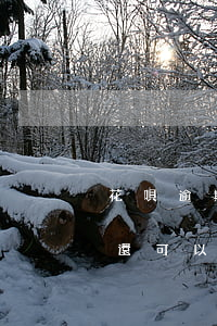 花唄逾期還完無法使用(花唄因逾期無法使用,還可以重新開通使用嗎)