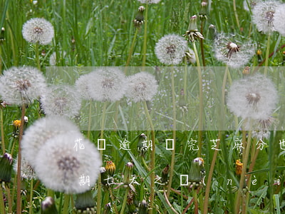 花唄逾期還完芝麻分也掉了嚴重嗎-花唄逾期七天之內(nèi)還清了 芝麻信用下降了