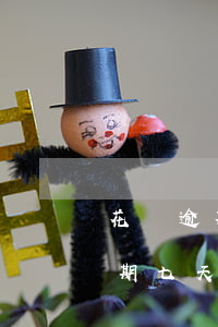 花唄逾期還完芝麻分也掉了嚴重嗎-花唄逾期七天之內還清了 芝麻信用下降了