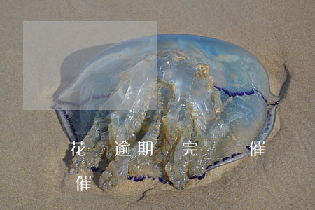 花唄逾期還完還會催賬嗎(花唄逾期還完還會催賬嗎)