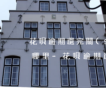 花唄逾期還完關(guān)閉后退款退到哪里-花唄逾期還完關(guān)閉后退款退到哪里了