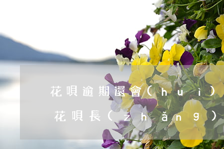 花唄逾期還會(huì)影響信譽(yù)(花唄長(zhǎng)時(shí)間逾期不還跟個(gè)人征信有啥關(guān)系嗎)