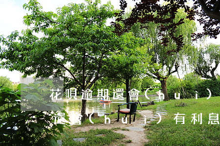 花唄逾期還會(huì)有利息嗎（花唄逾期還會(huì)有利息嗎）
