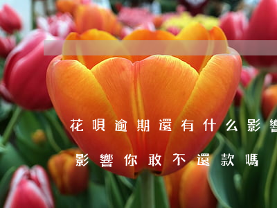 花唄逾期還有什么影響(花唄逾期還款有什么影響?你敢不還款嗎)