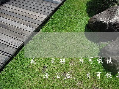 花唄逾期還有可能恢復嘛(花唄逾期了半年才還清,以后還有可能再恢復嗎?)