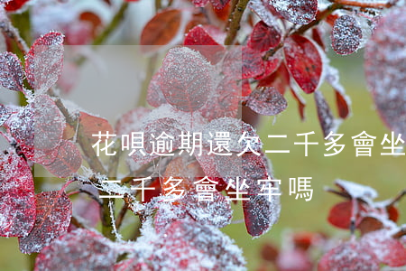 花唄逾期還欠二千多會坐牢嗎(花唄逾期還欠二千多會坐牢嗎)