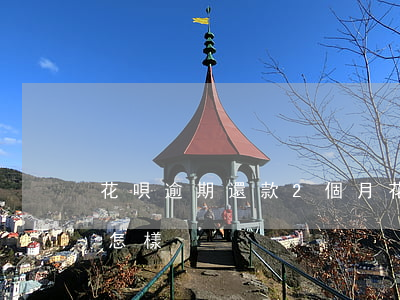 花唄逾期還款2個月(花唄逾期還款2個月會怎樣)
