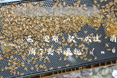 花唄逾期還款一次性還清(花唄逾期1天后還清了是不是就沒(méi)事了)