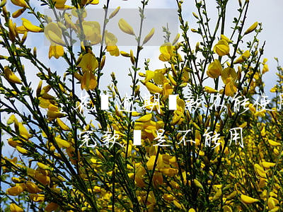 花唄逾期還款不能使用(為什么花唄逾期了,還完款還是不能用)
