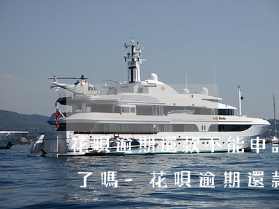 花唄逾期還款不能申請(qǐng)信用卡了嗎-花唄逾期還款不能申請(qǐng)信用卡了嗎怎么辦