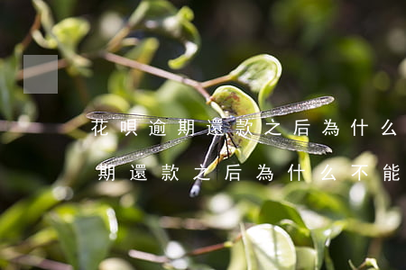 花唄逾期還款之后為什么不能用呢-花唄逾期還款之后為什么不能用呢怎么回事
